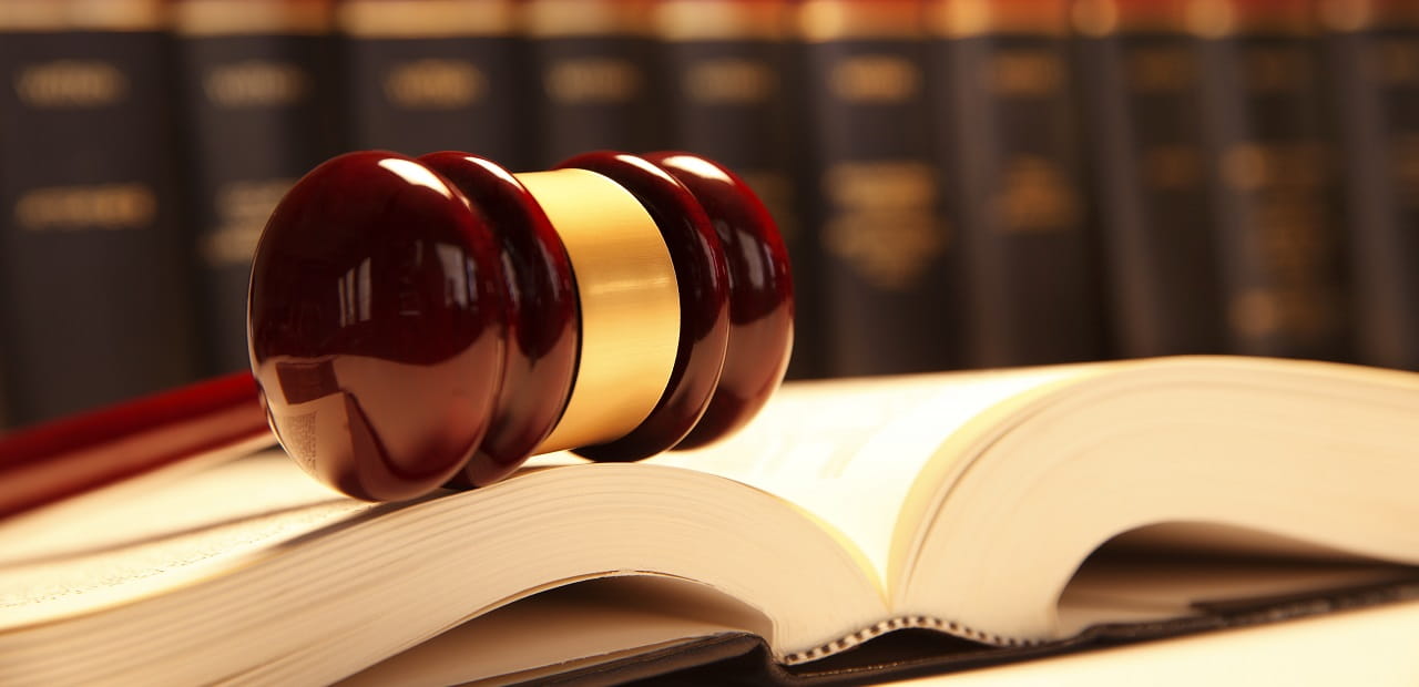 Gavel sits on an open book in front of a bookshelf.