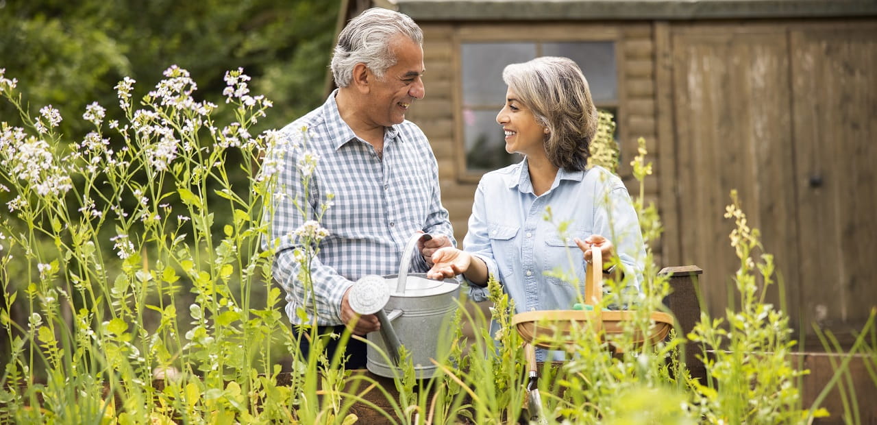 Couple In Garden At Home Working On Raised Vegetable Beds Together